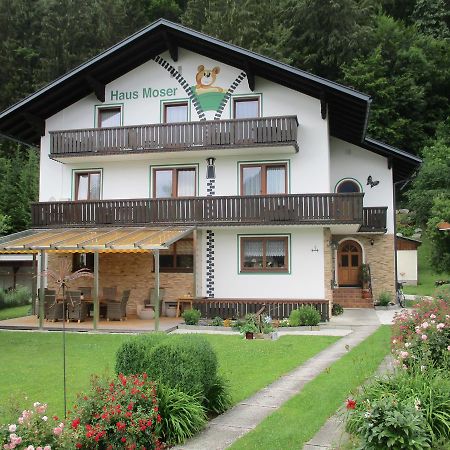 Haus Moser Wörschach エクステリア 写真
