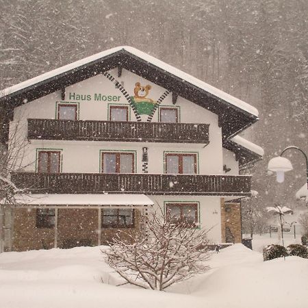 Haus Moser Wörschach エクステリア 写真