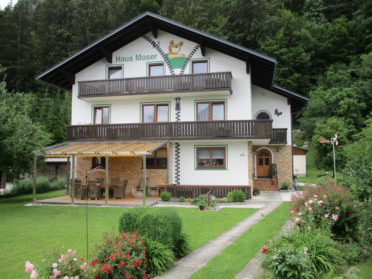 Haus Moser Wörschach エクステリア 写真